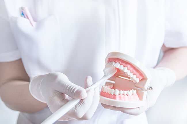 ブラッシングの確認・指導